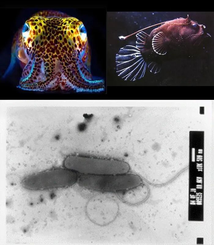 c69e7e5f894ee204d26dceda93d7d651.jpg 进博前瞻 | 现代水务进博会参展仪器速览