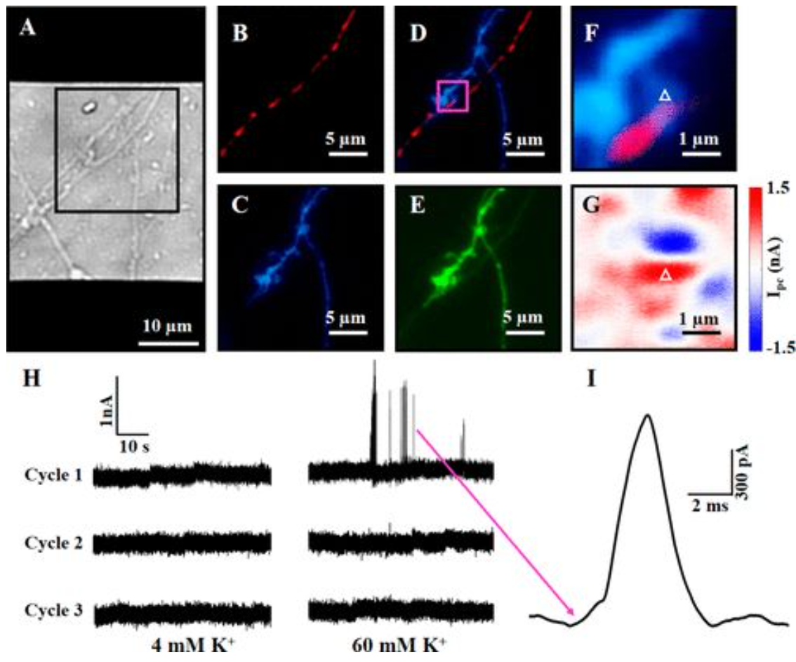 扫描光电流成像系统应用
