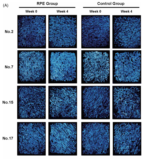 3f306310-3f8b-42b1-b9cf-1458dbd38776