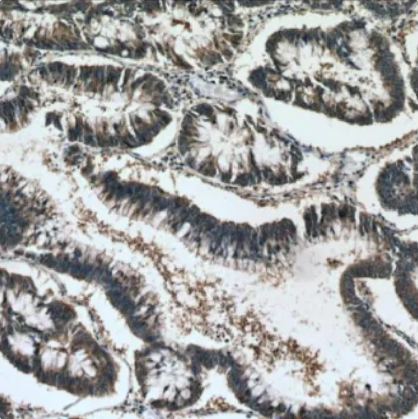 1750386334100115.png QQ_1750386331467.png