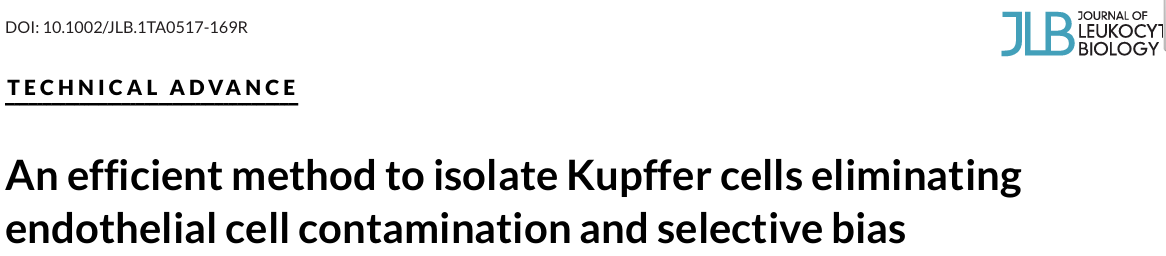 肝臟庫(kù)弗巨噬細(xì)胞流式檢測(cè)受到內(nèi)皮細(xì)胞干擾F4/80和CD31雙陽(yáng)