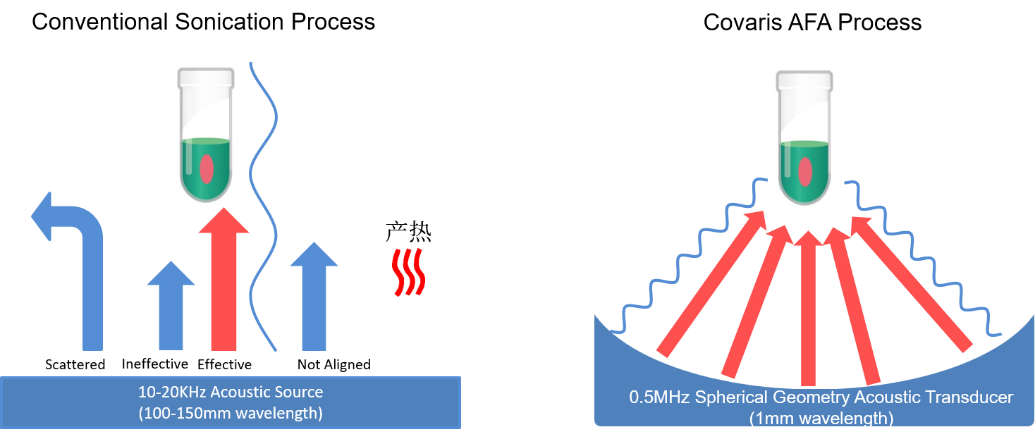Covaris样本超声剪切打断的工作原理