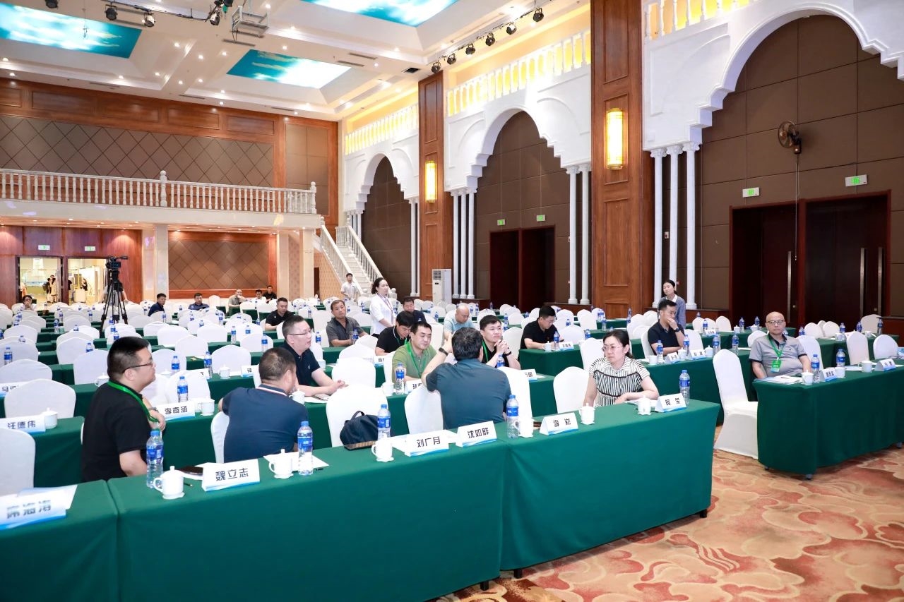 2025年“三省一区一市