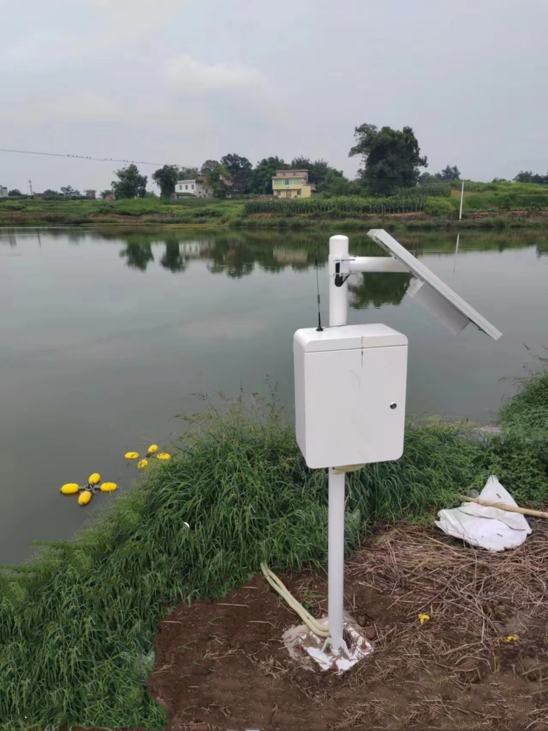 JYB-SZ立杆式水质溶解氧监测系统联动增氧机