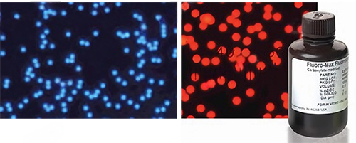 image.png 賽默飛世爾Thermo Fisher微粒微球 產品介紹