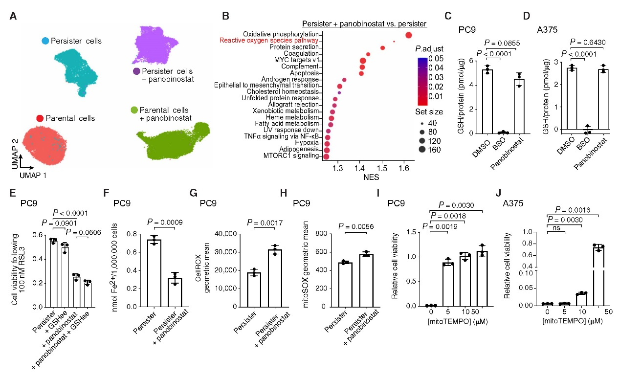 6390347933257147218472071