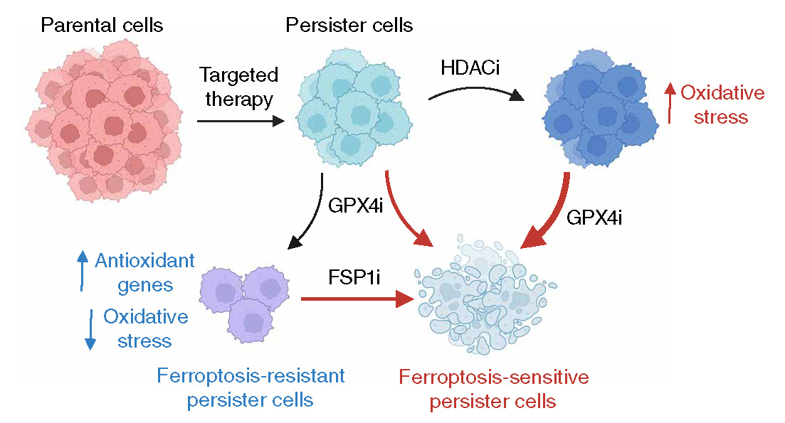 6390347935054655745784543