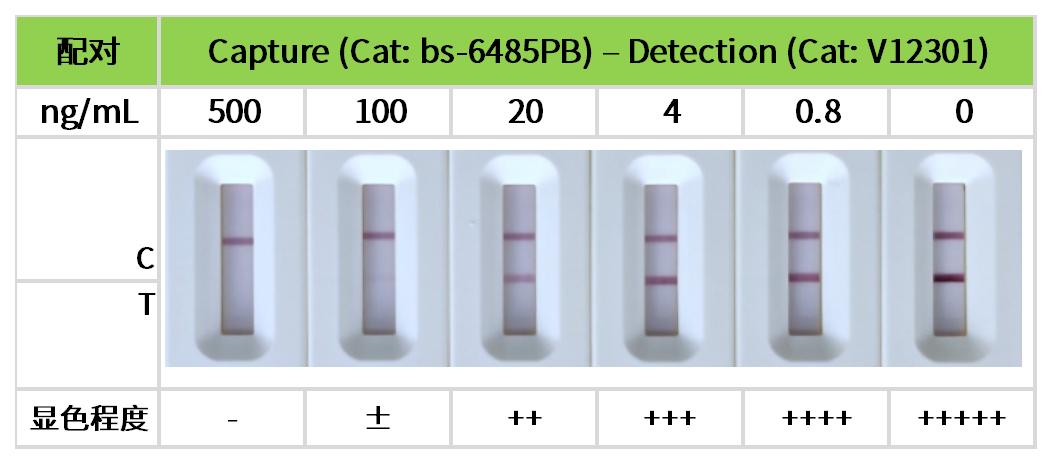 工作簿1_7.jpg 重點推薦 | 藥物小分子檢測相關配對抗體!