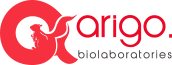 杭州恩瑞科生物Arigo Bio代理商 2026授权代理-AMJS澳金沙门