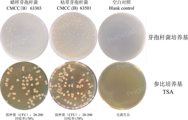 图1 芽孢杆菌培养基的微生物质控结果 图1 芽孢杆菌培养基的微生物质控结果