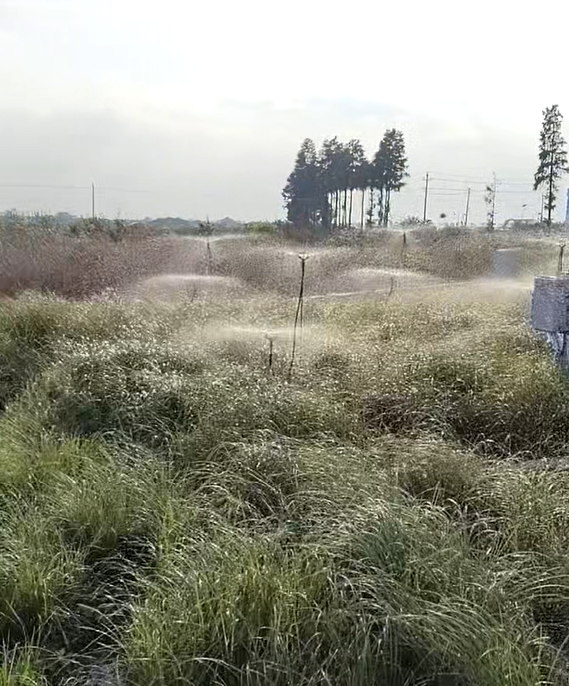 助力中國(guó)科學(xué)院亞熱帶農(nóng)業(yè)生態(tài)研究所打造智能灌溉系統(tǒng)