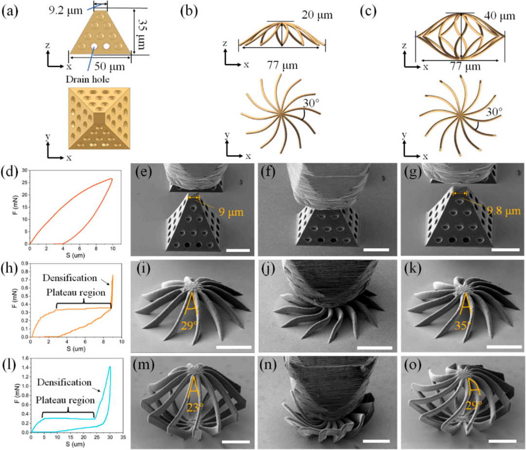 黑白之间的微观真相:扫描电镜与原位SEM如何揭示材料结构与演化