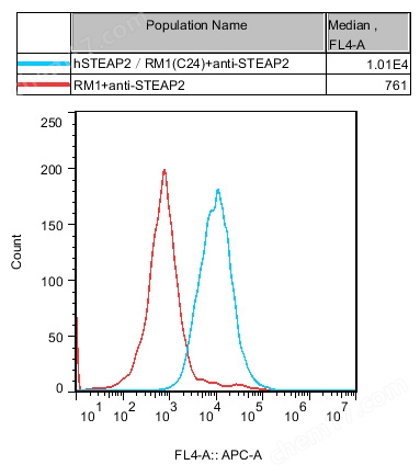 hSTEAP2/RM1