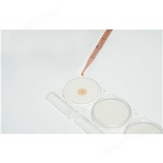 微生物快速測(cè)試片—菌落總數(shù)