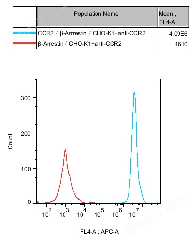 CCR2/β-Arrestin/CHO  GPCR細胞