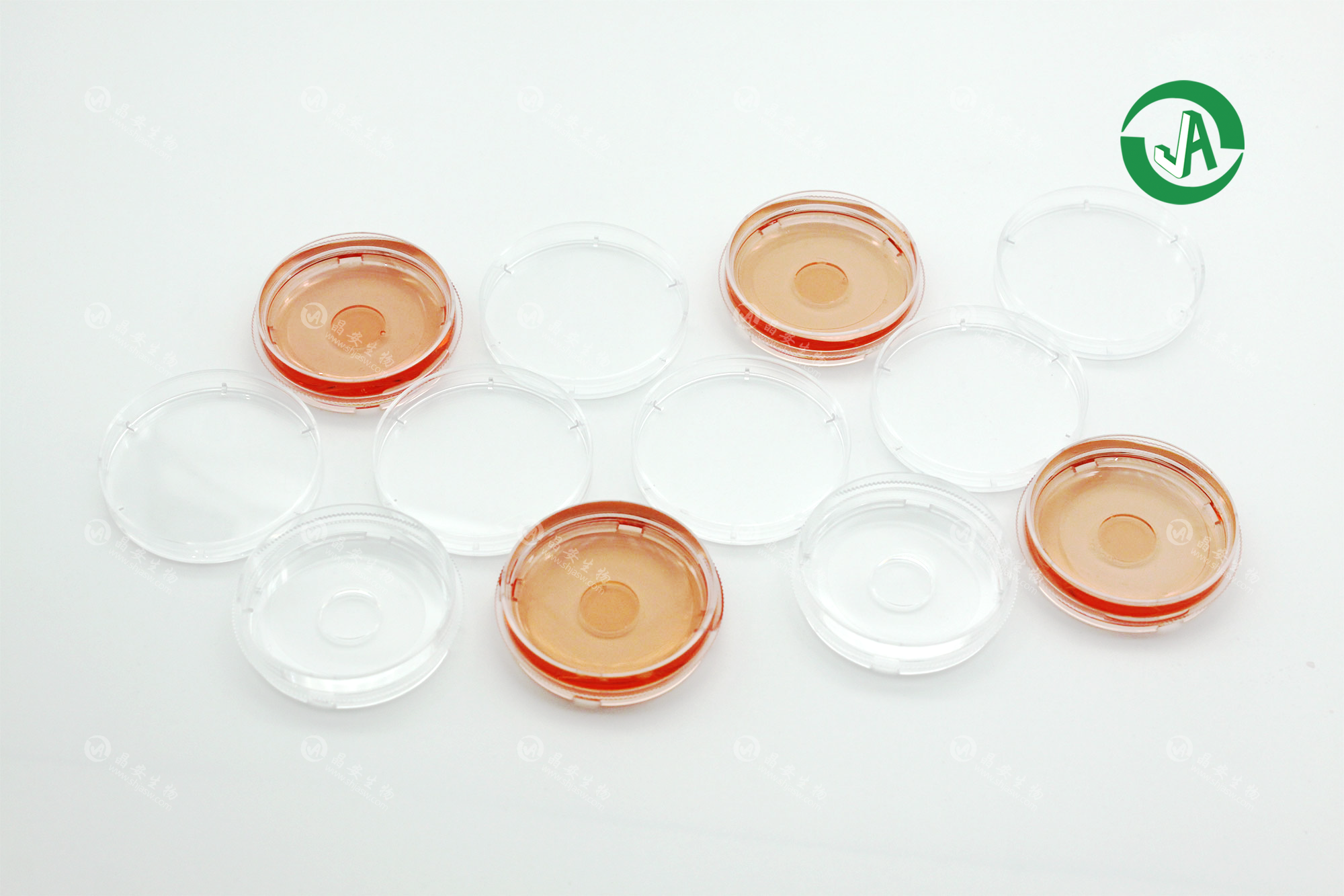 晶安生物35mm四分格玻璃底共聚焦小皿