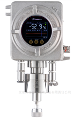 DPT-990EX在線式防爆露點(diǎn)儀