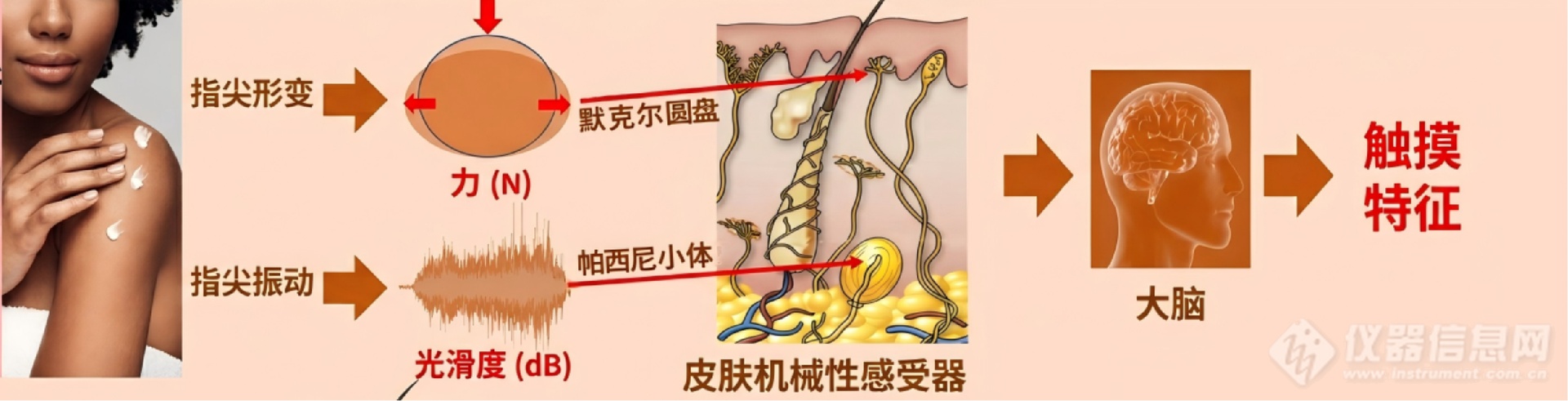 TF6.png TACTINNOV TouchyFinger指尖触感测试仪